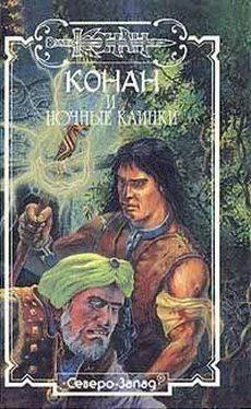 Олаф Эйриксон Изгнанник с Серых Равнин обложка книги