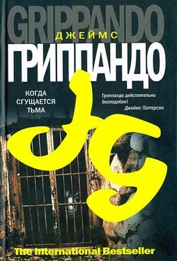 Джеймс Гриппандо Когда сгущается тьма обложка книги