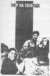 Микки Спиллейн - Тигр на свободе