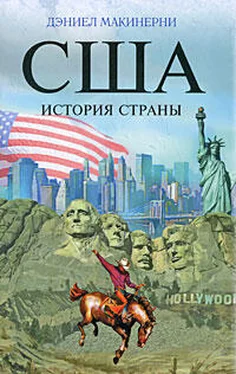 Дэниел Макинерни США: История страны обложка книги