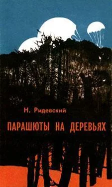 Наполеон Ридевский Парашюты на деревьях обложка книги