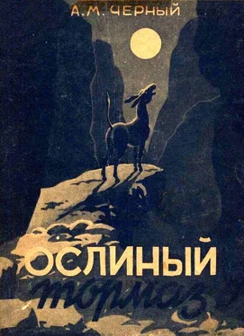 Александр Черный Ослиный тормаз [Солдатские рассказы] обложка книги