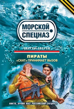 Сергей Зверев Пираты. «Скат» принимает вызов обложка книги