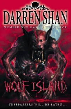 Darren Shan Wolf Island обложка книги