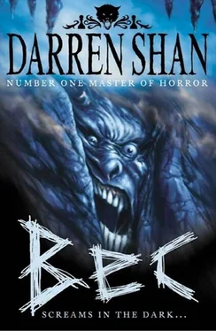 Darren Shan Bec обложка книги