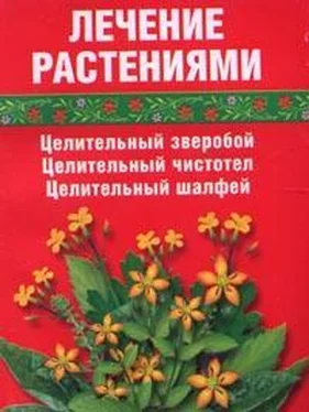 Сания Салихова Лечение травами (зверобой, чистотел, шалфей) обложка книги