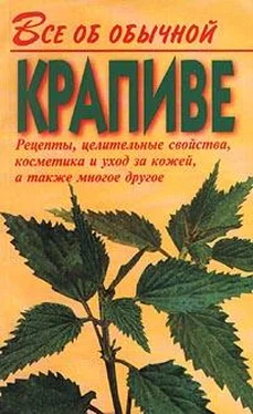 Иван Дубровин Все об обычной крапиве обложка книги