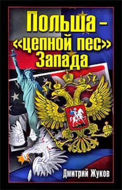 Дмитрий Жуков Польша – «цепной пес» Запада обложка книги