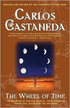 Carlos Castaneda The Wheel Of Time обложка книги