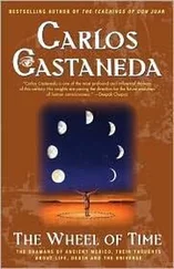 Carlos Castaneda - The Wheel Of Time