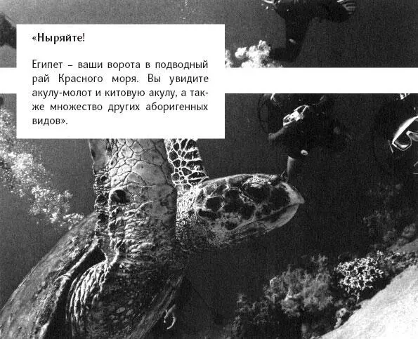 На первый взгляд все нормально Однако здесь использовано слово аборигенный - фото 2