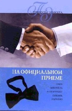 Линиза Жалпанова На официальном приеме обложка книги