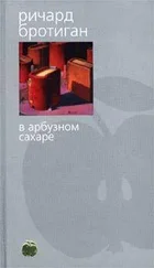 Ричард Бротиган - Аборт. Исторический роман 1966 года