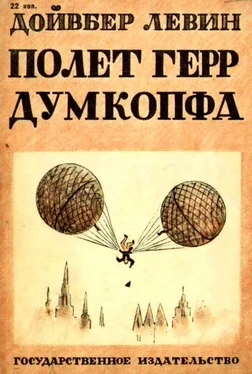 Дойвбер Левин Полет герр Думкопфа обложка книги