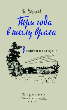 Илья Веселов Три года в тылу врага обложка книги