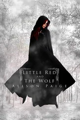 Alison Paige - Little Red and the Wolf