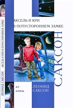 Леонид Саксон Аксель и Кри в Потустороннем замке обложка книги