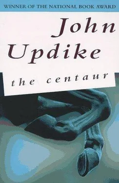 John Updike The Centaurus обложка книги