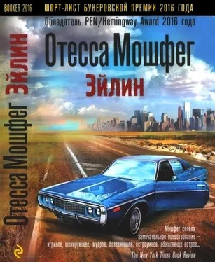 Отесса Мошфег Эйлин обложка книги