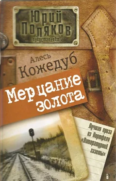 Александр Кожедуб Мерцание золота обложка книги