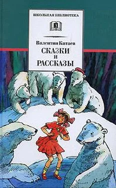 Валентин Катаев Рассказы и сказки обложка книги