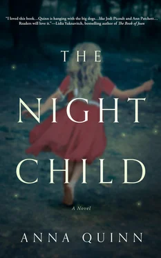 Anna Quinn The Night Child обложка книги