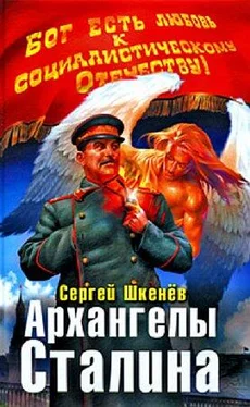 Сергей Шкенёв Архангелы Сталина обложка книги