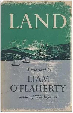 Liam O'Flaherty Land обложка книги