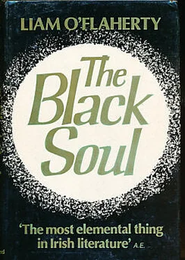 Liam O'Flaherty The Black Soul обложка книги