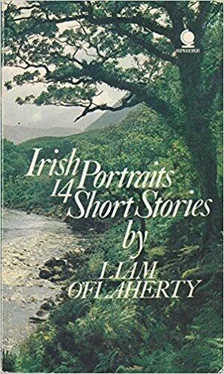 Liam O'Flaherty Irish Portraits: 14 Short Stories обложка книги