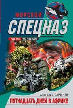 Анатолий Сарычев Пятнадцать дней в Африке обложка книги