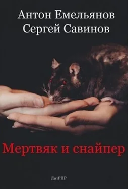 Антон Емельянов Мертвяк и снайпер обложка книги