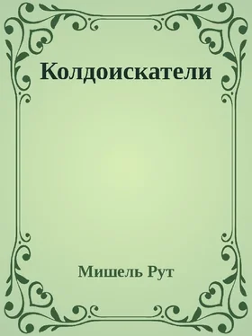 Мишель Рут Колдоискатели (СИ) обложка книги