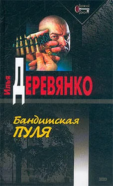 Илья Деревянко Последняя надежда обложка книги