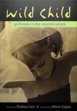 Chelsea Cain Wild Child: Girlhoods in the Counterculture обложка книги