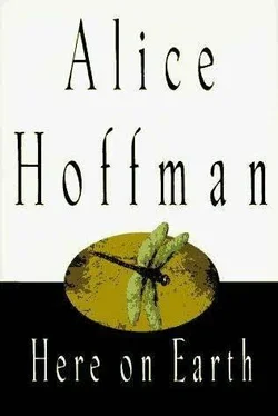 Alice Hoffman Here On Earth обложка книги