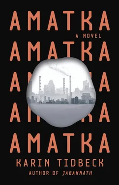 Карин Тидбек Amatka обложка книги