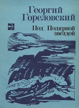 Георгий Гореловский Шурик обложка книги