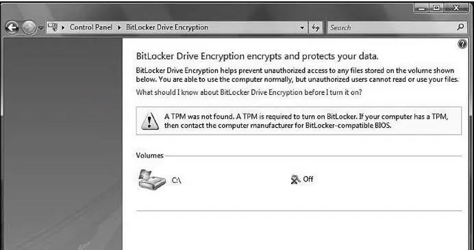 Рис П39 Шифрование BitLocker выключено модуль TPM не установлен или выключен - фото 279
