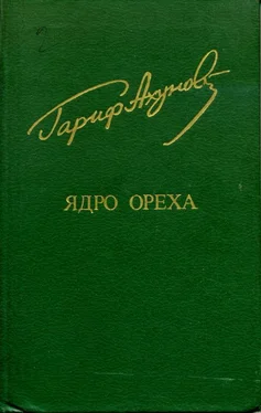 Гариф Ахунов Ядро ореха обложка книги