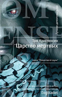 Том Кристенсен Царство мертвых обложка книги