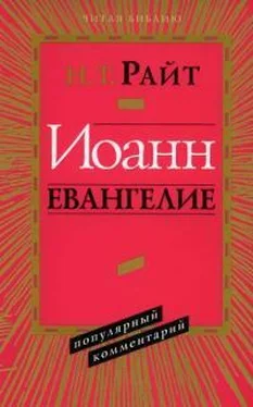 Н. Т Райт Иоанн Евангелие Популярный Комментарий обложка книги