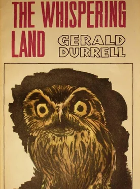 Gerald Durrell The Whispering Land обложка книги