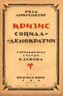 Роза Люксембург Кризис социал-демократии обложка книги