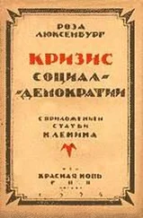 Роза Люксембург - Кризис социал-демократии