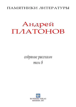 Андрей Платонов Рассказы.Том 8 обложка книги