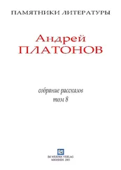 Андрей Платонов - Рассказы.Том 8