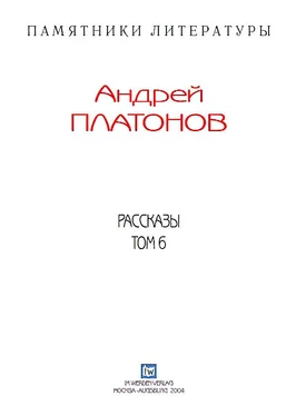 Андрей Платонов Рассказы.Том 6 обложка книги