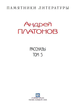 Андрей Платонов Рассказы.Том 5 обложка книги