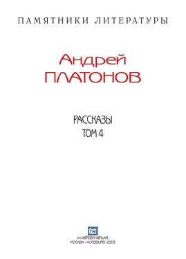 Андрей Платонов Рассказы.Том 4 обложка книги